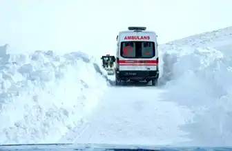 Erzurum'da Hayvan Tekmesi: Jandarma'dan Zamanında Müdahale