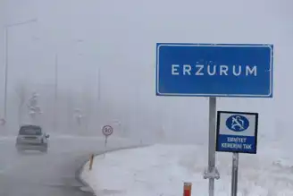 Doğu Anadolu'da Şiddetli Kış: 341 Yerleşim Yeri Ulaşım Dışı
