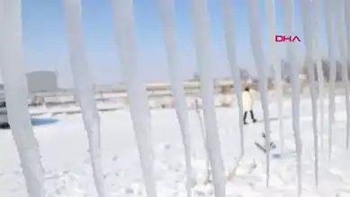 Dondurucu Soğukta Görsel Şölen: Erzurum'da Don Olayları