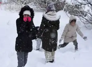 Doğu Anadolu Bölgesinde Kar Yağışı: Okullar Tatil!