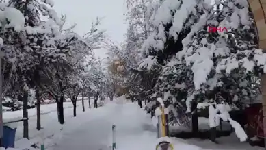 Kardan Koltukta Çay Keyfi!