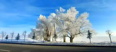 Erzurum'da Sibirya Soğuğu: -24 Derece