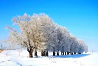 Erzurum'da Şiddetli Soğuk ve Çığ Uyarısı!