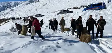 Doğal Yaşam İçin Kış Desteği: Yaban Hayvanlarına Yem Takviyesi