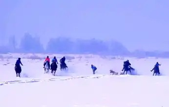 Erzurum'da At Yarışı Kazası! Nefesler Tutuldu
