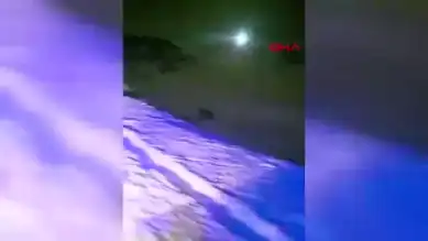 Çoban Köpeği, Kurt Saldırısından Çobanı Kurtardı!
