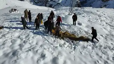 Kışın Yiyecek Sıkıntısı Çeken Yaban Hayvanlarına Yardım Eli