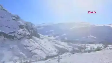 Kışın Acımasız Yüzü: Yaban Hayvanları İçin Destek Kampanyası Başlatıldı