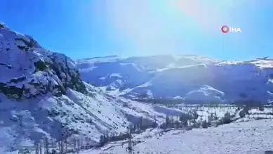 Kışın Yaban Hayatı Desteklendi