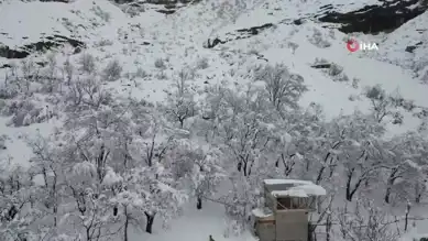 Doğu Anadolu'da Çığ Felaketi: Yüzlerce Koyun Tehlikede!