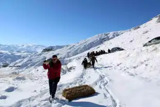 Kışın Yaban Hayvanlarına Destek Elini Uzatıyorlar