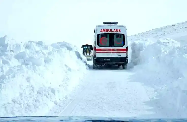 Erzurum'da Hayvan Tekmesi: Jandarma'dan Zamanında Müdahale
