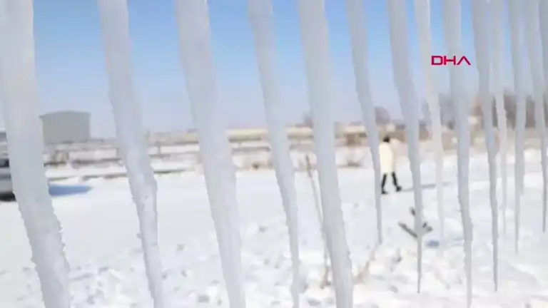 Dondurucu Soğukta Görsel Şölen: Erzurum'da Don Olayları