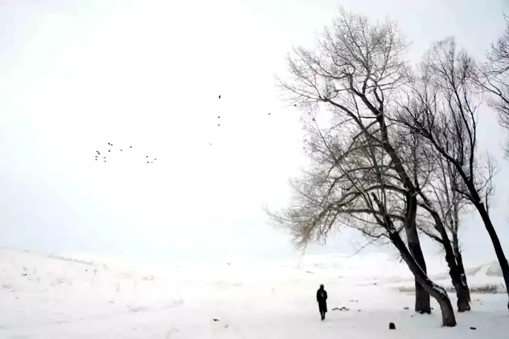 Erzurum'da -25 Derece Soğuk! Çığ Tehlikesi Uyarısı