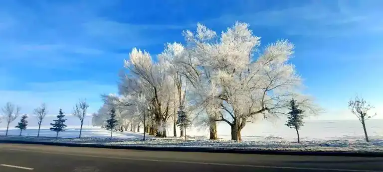 Erzurum'da Sibirya Soğuğu: -24 Derece