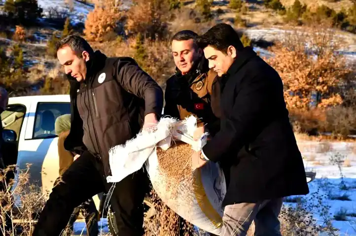 Erzurum'da Yaban Hayatı Kış Desteği