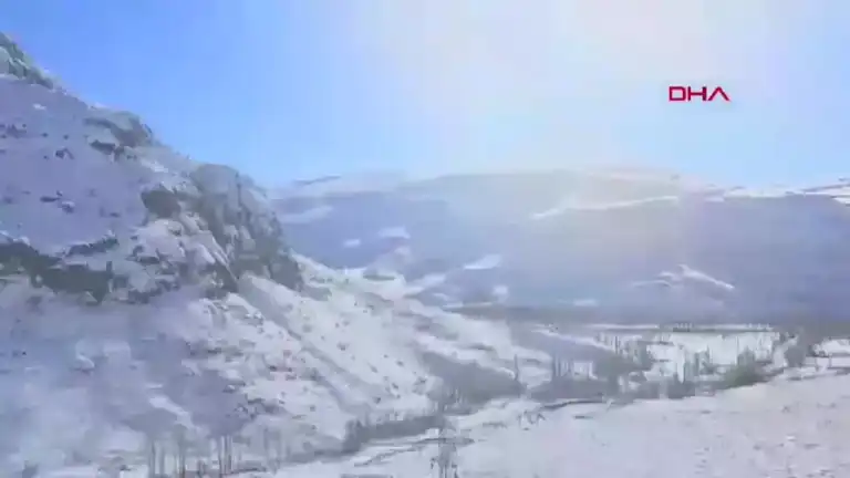 Kışın Acımasız Yüzü: Yaban Hayvanları İçin Destek Kampanyası Başlatıldı